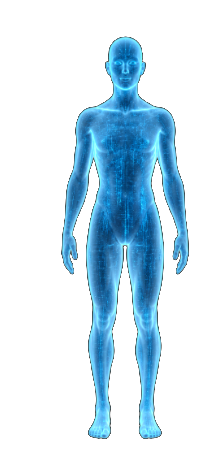 Holographic digital health twin of a human body